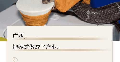 被冲毁的广西养蛇场,藏着500亿的大生意