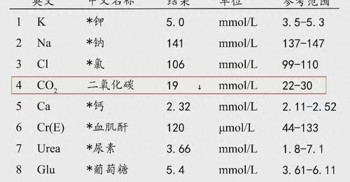 肾友别乱戒主食!吃太少真的会加速肾衰
