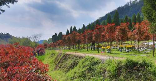 “动了风水,家里要遭灾”?在田间地头迁坟,到底有多难