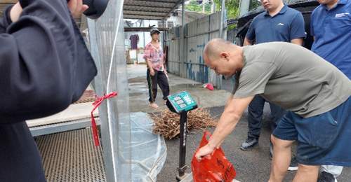 温泉引来湾区客!打卡藏在林海中的康养胜地