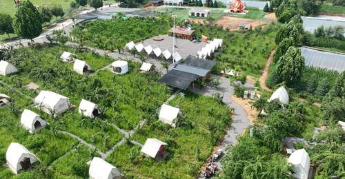山西长子丹朱原野农场打造夏日亲子休闲新地标