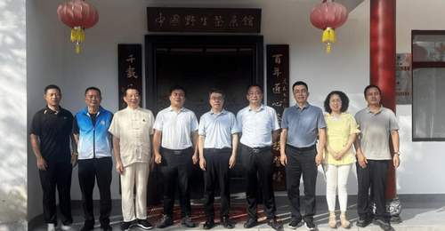 省市区文联专家组实地探访武宁太阳红野生茶 多方参与共探文化赋能产业新路径