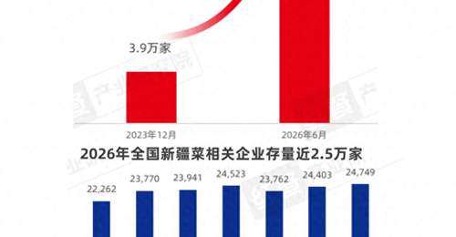 4.5万家门店背后的新疆菜,多元融合活动正掀起全龄参与热潮