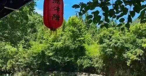 踏入牯牛降 赴一场清凉与自然之约