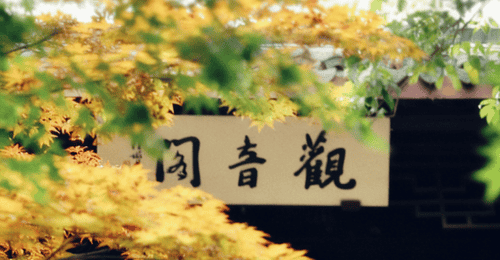 立秋浅秋启新章 多元活动共赴清宁之约
