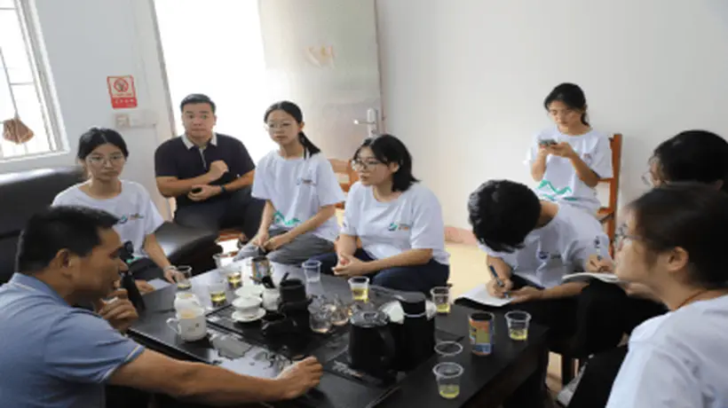 深山好茶如何走出山?岭南师院学子调研江林茶 为非遗茶品牌振兴献青春智慧