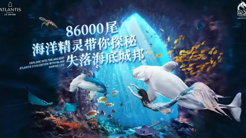 我让司机按风景选路