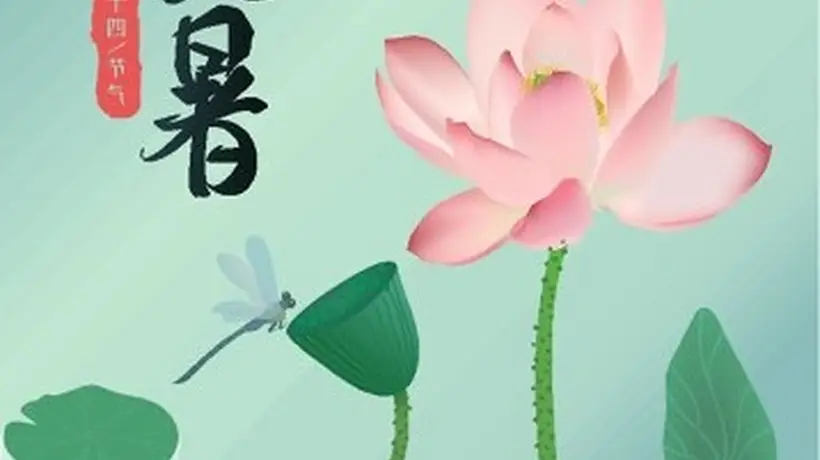 大暑早餐推荐:清爽养胃4款食谱,吃出满满活力!