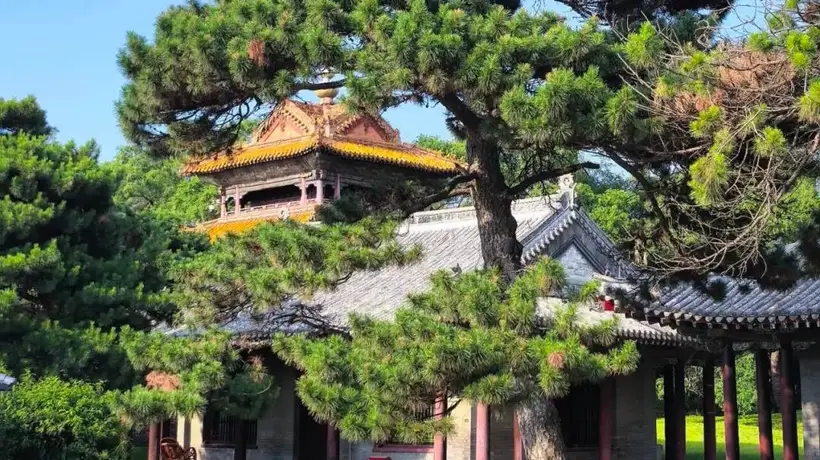 暑期逛沈阳清凉游 多元活动陪你解锁3天2晚避暑新体验