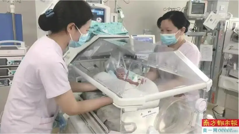 650克“巴掌宝宝”闯关85天“通关”