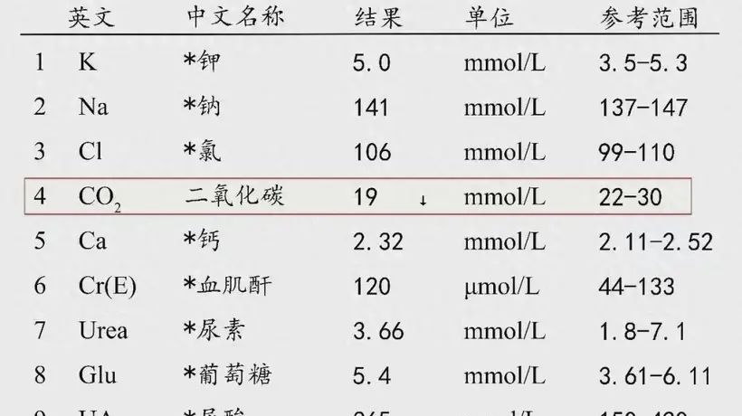 肾友别乱戒主食!吃太少真的会加速肾衰