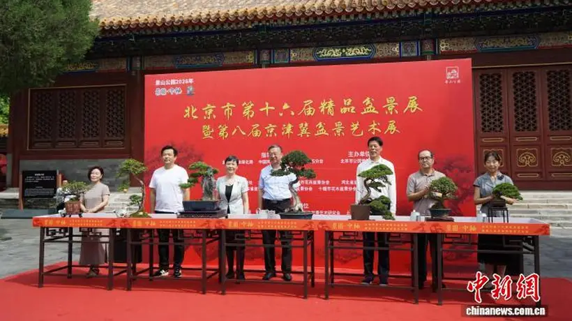 园林艺术融入多元场景 北京市第十六届精品盆景展在景山公园开幕