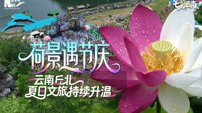 世界花园 七彩云南|荷景遇节庆 云南丘北夏日文旅持续升温
