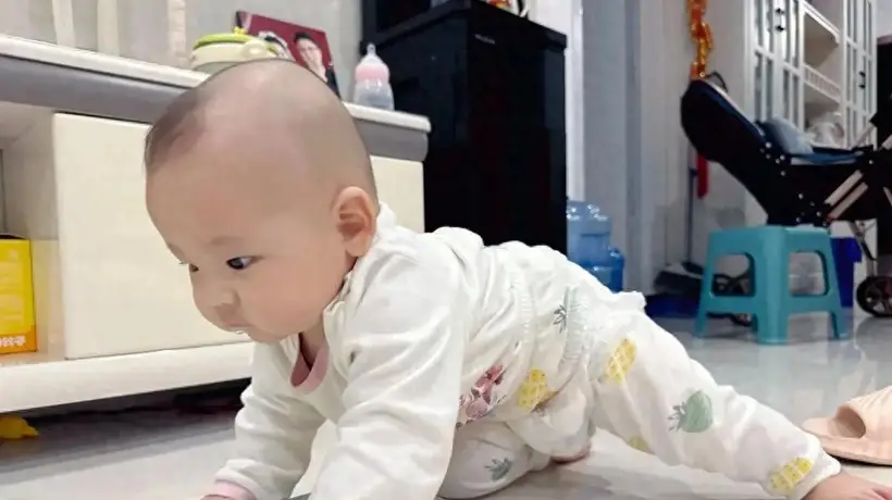 带娃路上不慌乱!多元互动锻炼+日常语言输入,帮发育掉队宝宝轻松追上节奏