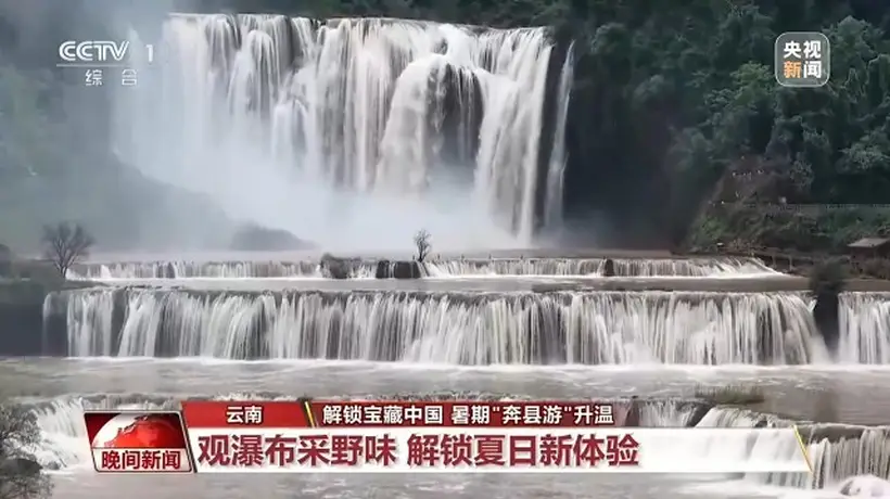 易门寻菌探瀑 德清遂昌解锁多元避暑体验 邀你参与盛夏自然狂欢