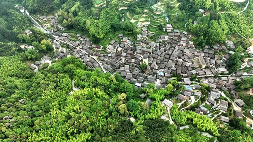 侗族占里侗寨:千年萨坛盟誓中守着山林共生的活态智慧