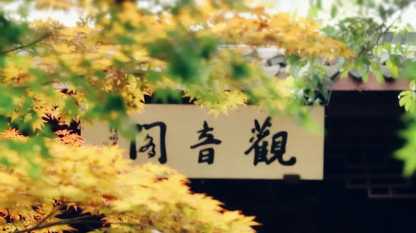 立秋浅秋启新章 多元活动共赴清宁之约