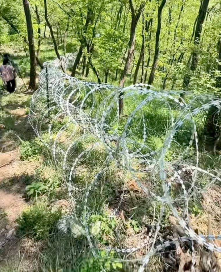 泰山花2519万修刺网防逃票惹争议，15年才能回本，网友炸锅：防的是逃票，伤的是良心