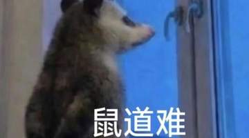 看懂灵犀出售的背后信号,三国策略游戏的下一个风口找到了!