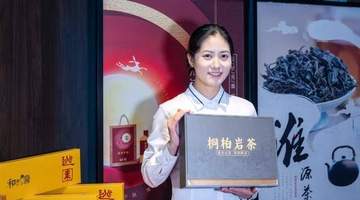 河南桐柏:夏秋茶“点叶成金” 岩茶首单签下马来西亚