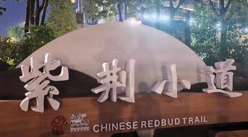 丽州五金盛景与古韵新篇