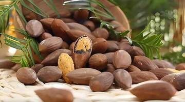 吃榧子要留心这些细节 缓解不宁腿还需规范就医调理