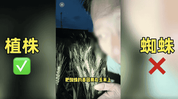 农业网红诋毁袁隆平成果，不能只封号就完事