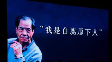 名家赏读《白鹿原》,纪念陈忠实逝世十周年