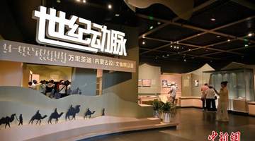 “世纪动脉——万里茶道文物精品展”在内蒙古开展
