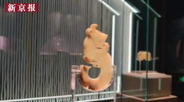 视频|国宝玉龙佩亮相大葆台汉玉特展