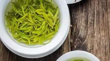 三伏天适合喝哪些茶?