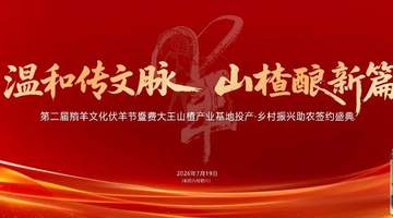 2026费县第二届羵羊文化伏羊节,7月19日火热来袭!