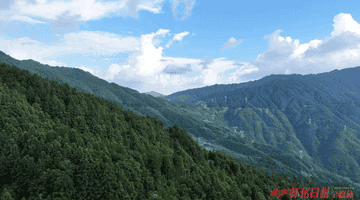 “凉资源”变“热产业”——洪江市雪峰山炼成“避暑首选地”