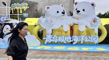 亮点抢先看!第36届青岛国际啤酒节崂山会场整装待发