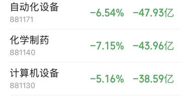 主力资金跟踪|市场重挫之中,主力资金流向了哪?