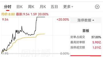双杰电气午后20CM涨停背后隐忧:投资者维权呼声高涨