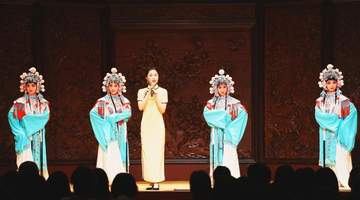 西南京剧“梅花”齐聚贵阳，多元活动牵起戏迷专属体验
