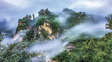 这个夏天，来平凉赴一场看得见山清水秀、听得见千年回响的参与之约