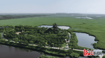 沧州南大港湿地打造多元研学文旅场景 半年揽客超三十二万人次
