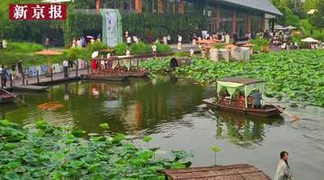 7月26日北京温榆河公园艺术季启幕 荷间诗乐混搭让市民沉浸式体验诗意夏夜