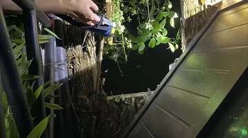 梅州深夜景区湖畔玩乐遇险情 15岁女孩木板断裂落水溺亡 周边设施存漏洞引众人关注