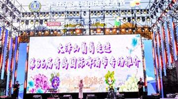 来青岛国际啤酒节赴甜蜜之约 到平度大泽山沉浸式体验葡萄采摘与田园文旅