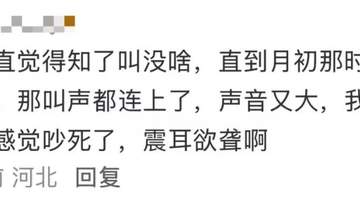 夏日蝉鸣超80分贝致多人听力受损 这些场景的体验者要警惕噪声伤害