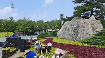 来齐盛湖公园解锁品质游园新体验 市公园城市服务中心多元举措升级游玩感受