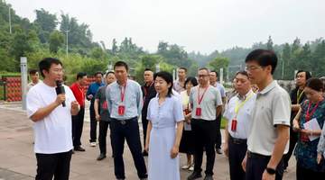 重庆大足专题协商会邀你体验多元乡村旅游新玩法 助力农房盘活增收