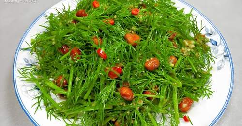 三伏夏天,少吃萝卜白菜,多吃这3种“祛湿菜”,身体棒,安康清爽过炎夏!