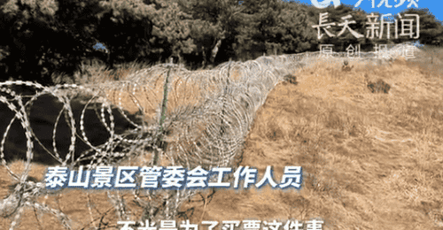 为防止驴友不买票进景区?泰山景区回应建135公里刀刺隔离网