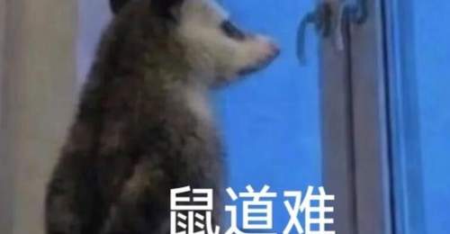 看懂灵犀出售的背后信号,三国策略游戏的下一个风口找到了!