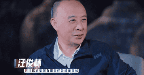 汪俊林:把中国人的勤劳和真诚带向全世界