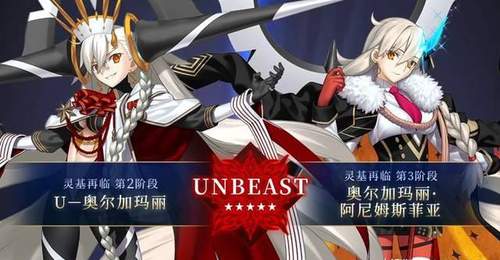 《FGO》十周年从者U奥尔加玛丽配队思路:哪些从者能和所长打配合